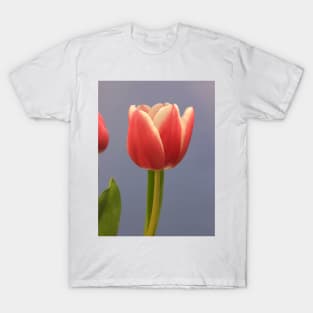 Red Tulip Flower T-Shirt